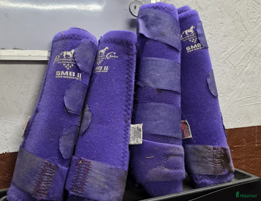 Benskydd hästutrustning till salu: Benskydd  i Landvetter - Annons 1