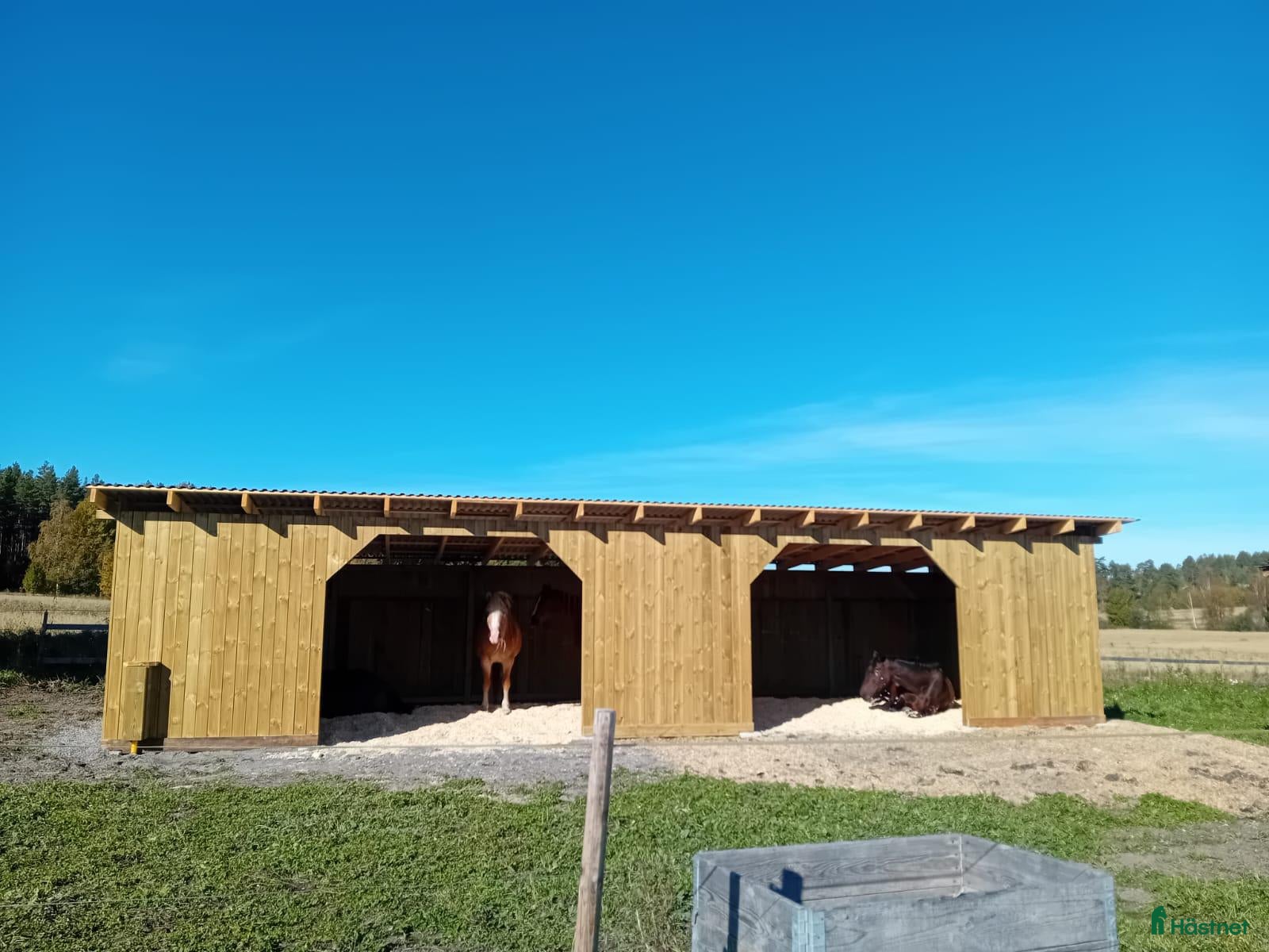  stallplats Två platser på lösdrift  i Söderhamn - Annons 2