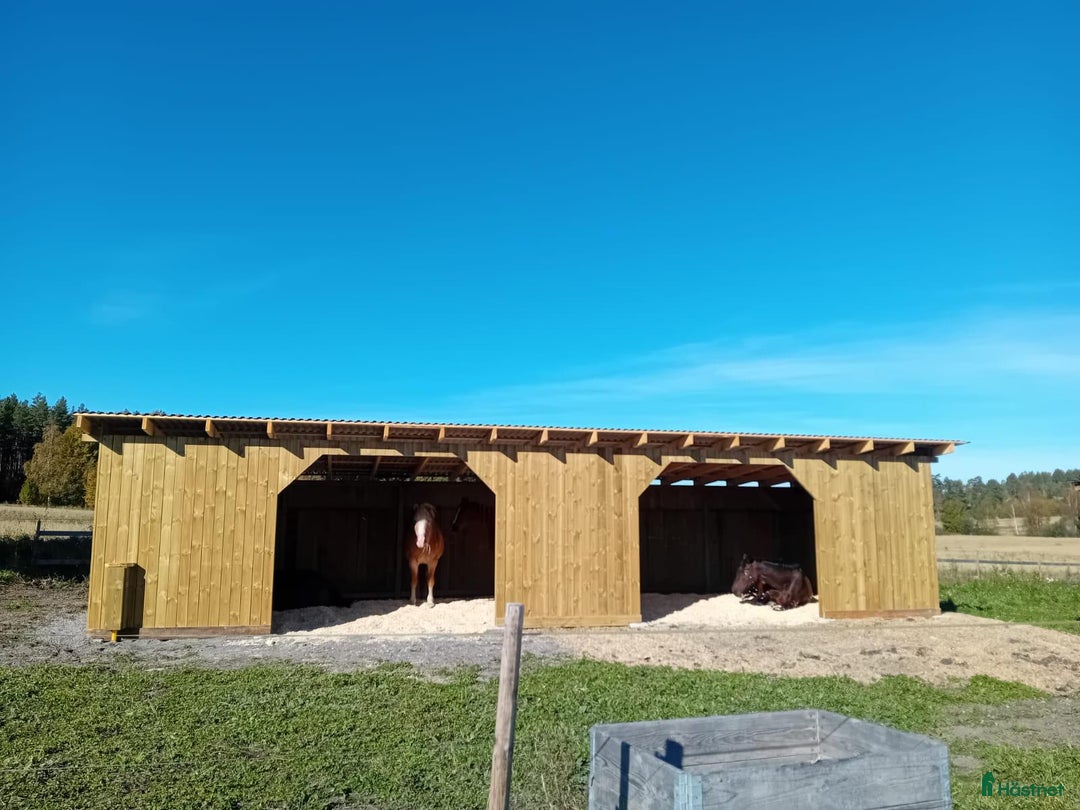  stallplats finnes: Två platser på lösdrift  i Söderhamn - Annons 1