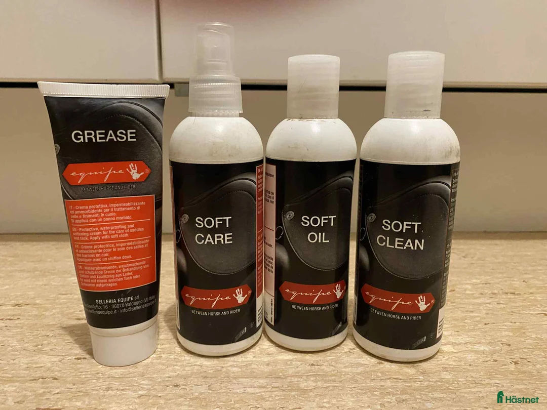 Övrig Hästutrustning hästutrustning till salu: Massa utrustning! i Lund - Annons 4