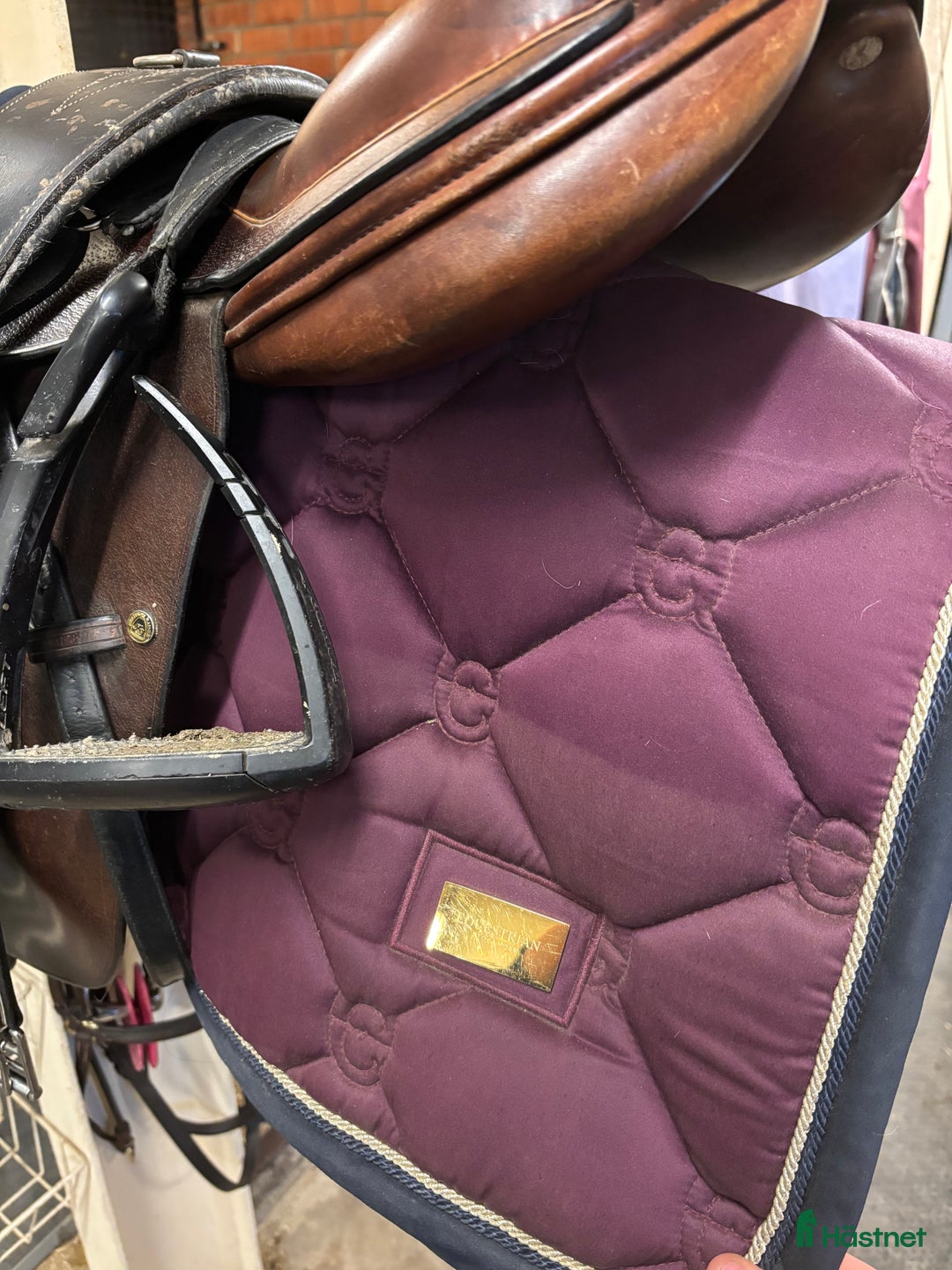 Schabrak & Vojlockar hästutrustning till salu: Lila es  i Östersund - Annons 3