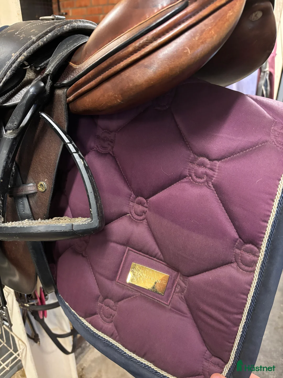 Schabrak & Vojlockar hästutrustning till salu: Lila es  - Annons 3
