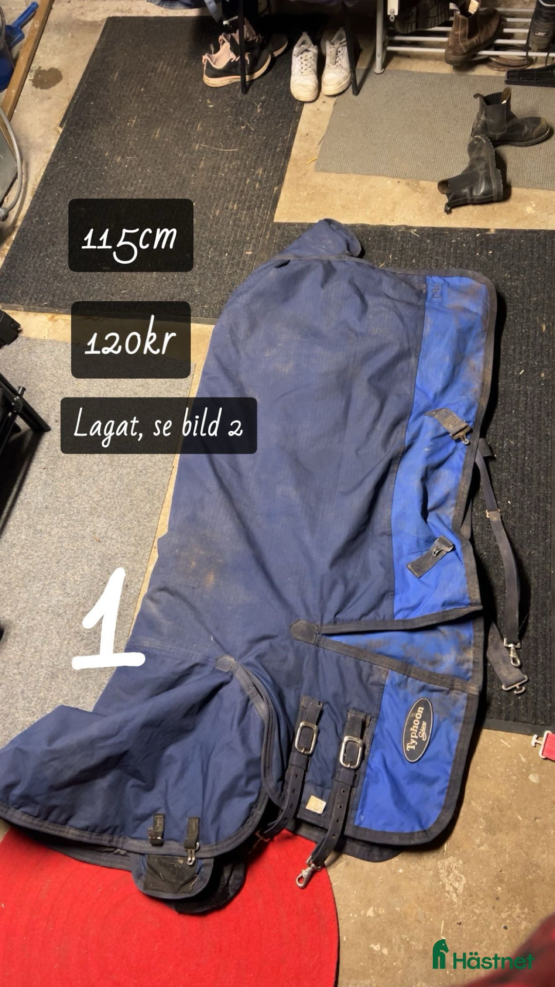 Täcken hästutrustning till salu: Täcke strl 115 i Sturefors - Annons 1