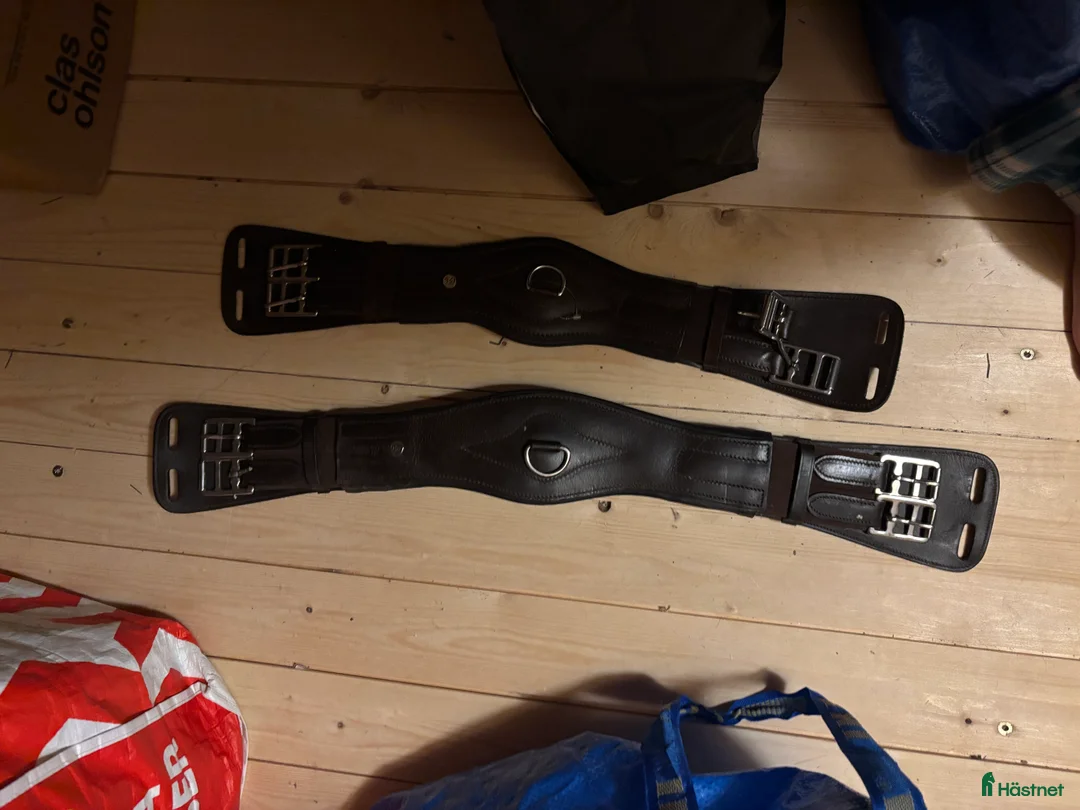 Sadeltillbehör hästutrustning till salu: Dressyrgjordar  - Annons 3