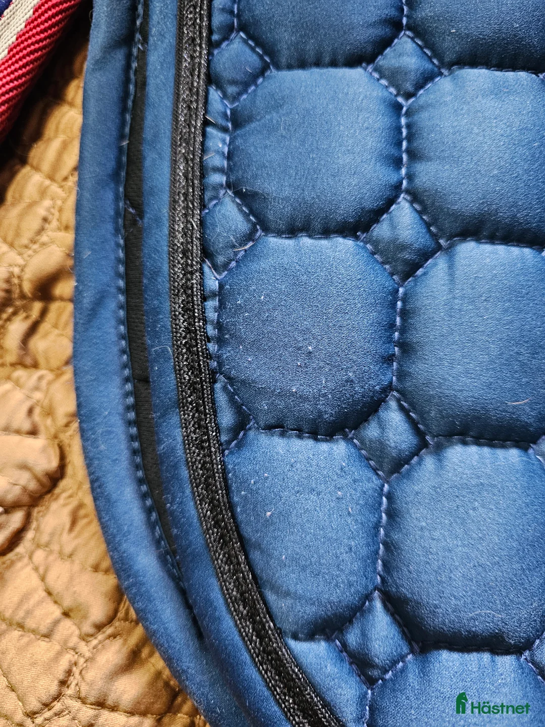 Schabrak & Vojlockar hästutrustning till salu: Catago vojlock i Söråker - Annons 2