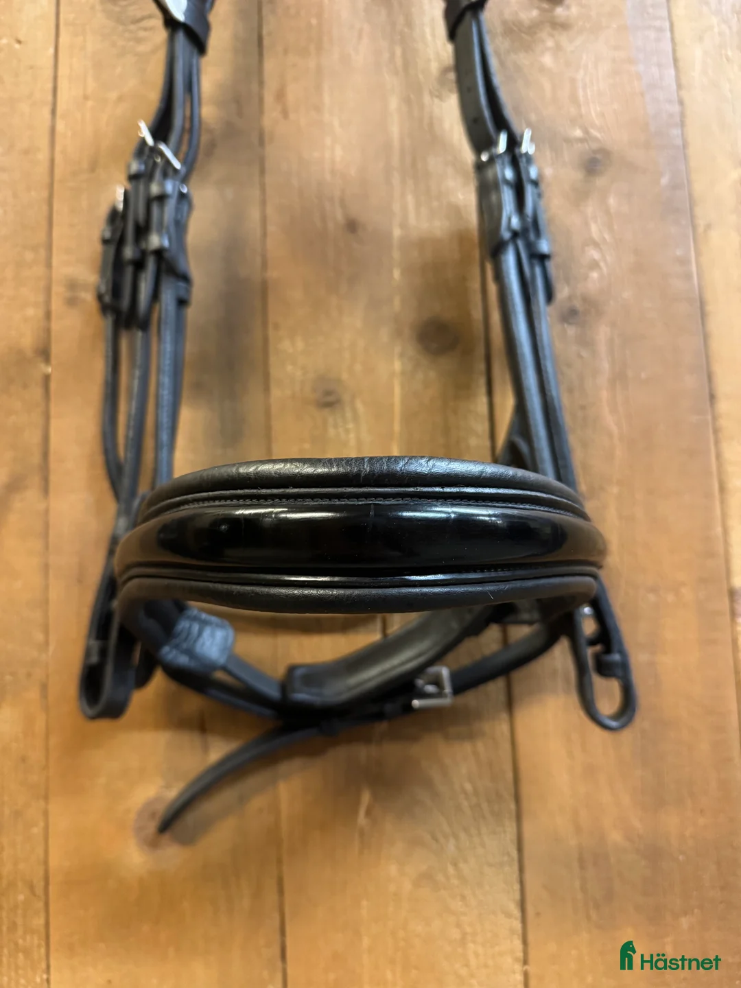 Träns hästutrustning till salu: Rundsytt kandar med lackad nosgrimma  i Hofors - Annons 5