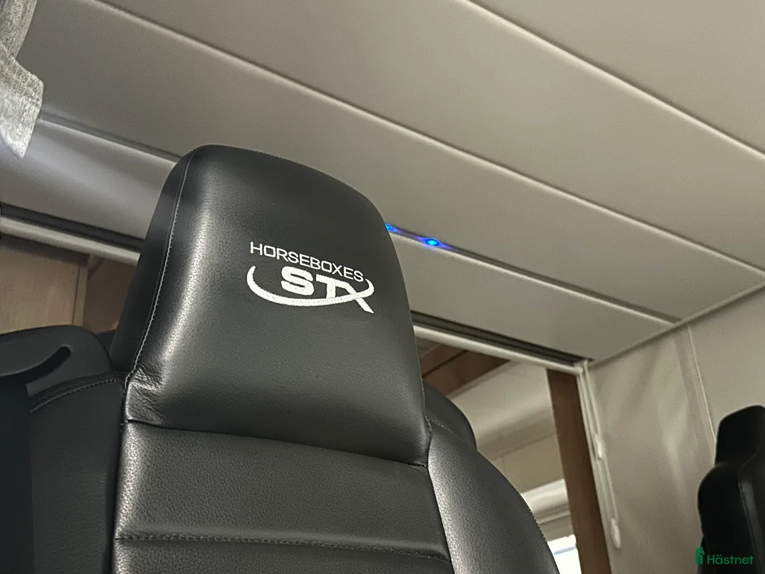 Hästlastbilar  fordon & transport till salu: Scania Stephex STX S500 Hästlastbil / Pop-X2 / i Eslöv - Annons 20