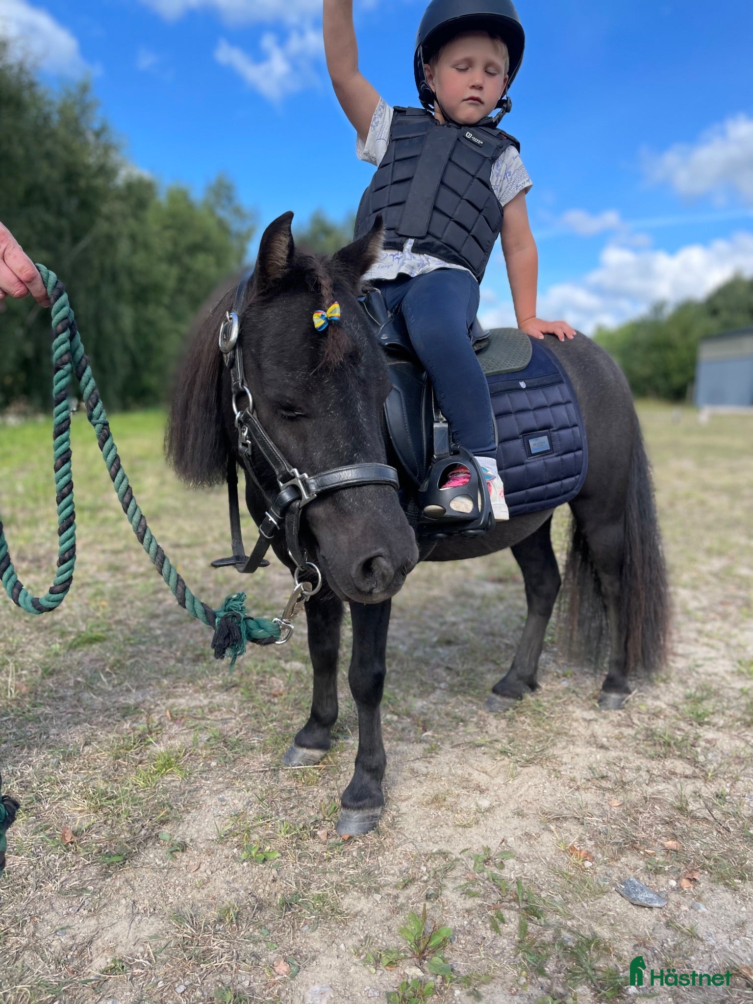  hästar Världens sötaste lilla ponny - Annons 2