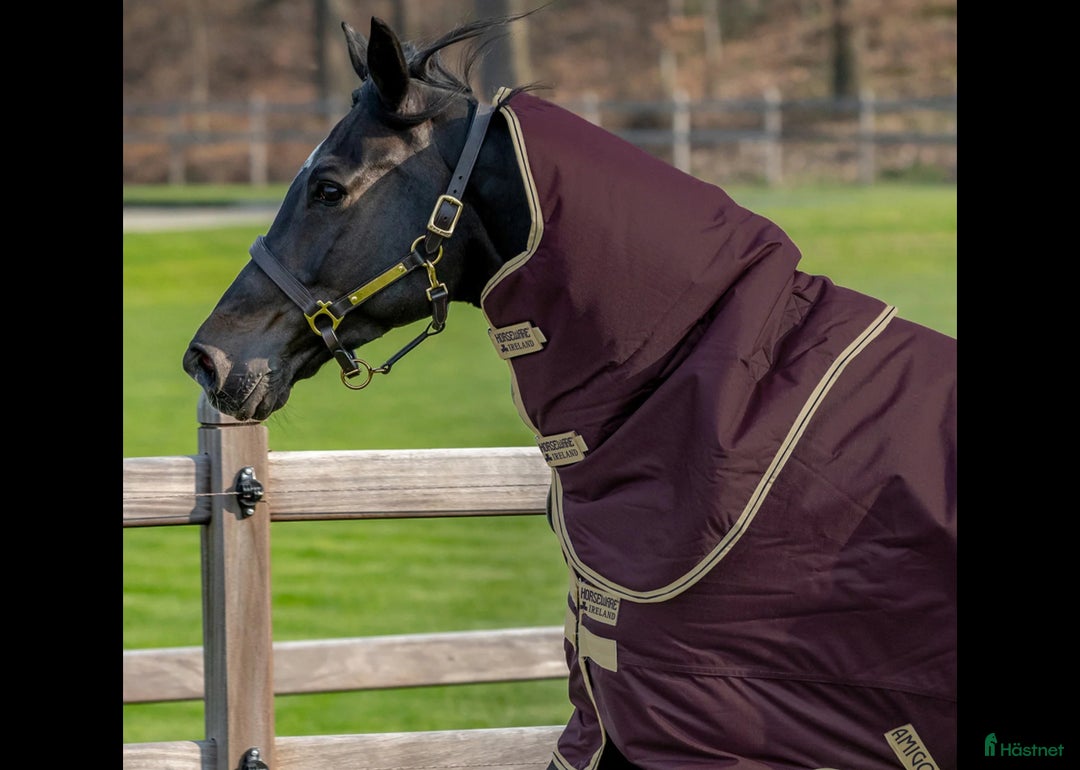 Täcken hästutrustning till salu: SÖKER, halstäcke  - Annons 1