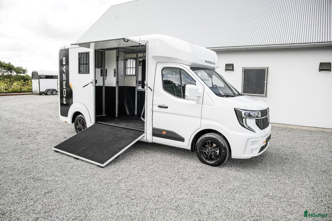 Hästlastbilar  fordon & transport till salu: Forzab EQV 3 Stuteri *KAMPANJ* i Ängelholm - Annons 5