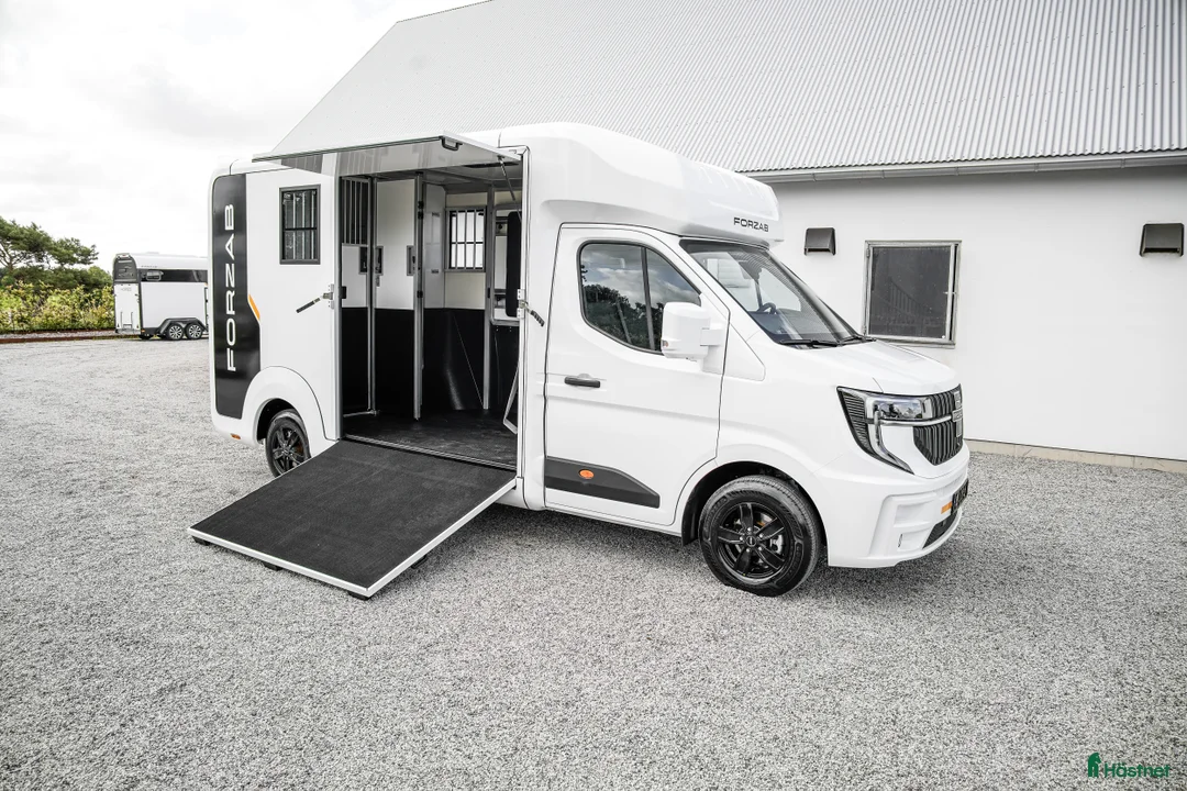 Hästlastbilar  fordon & transport till salu: Forzab EQV 3 Stuteri *KAMPANJ* i Ängelholm - Annons 5
