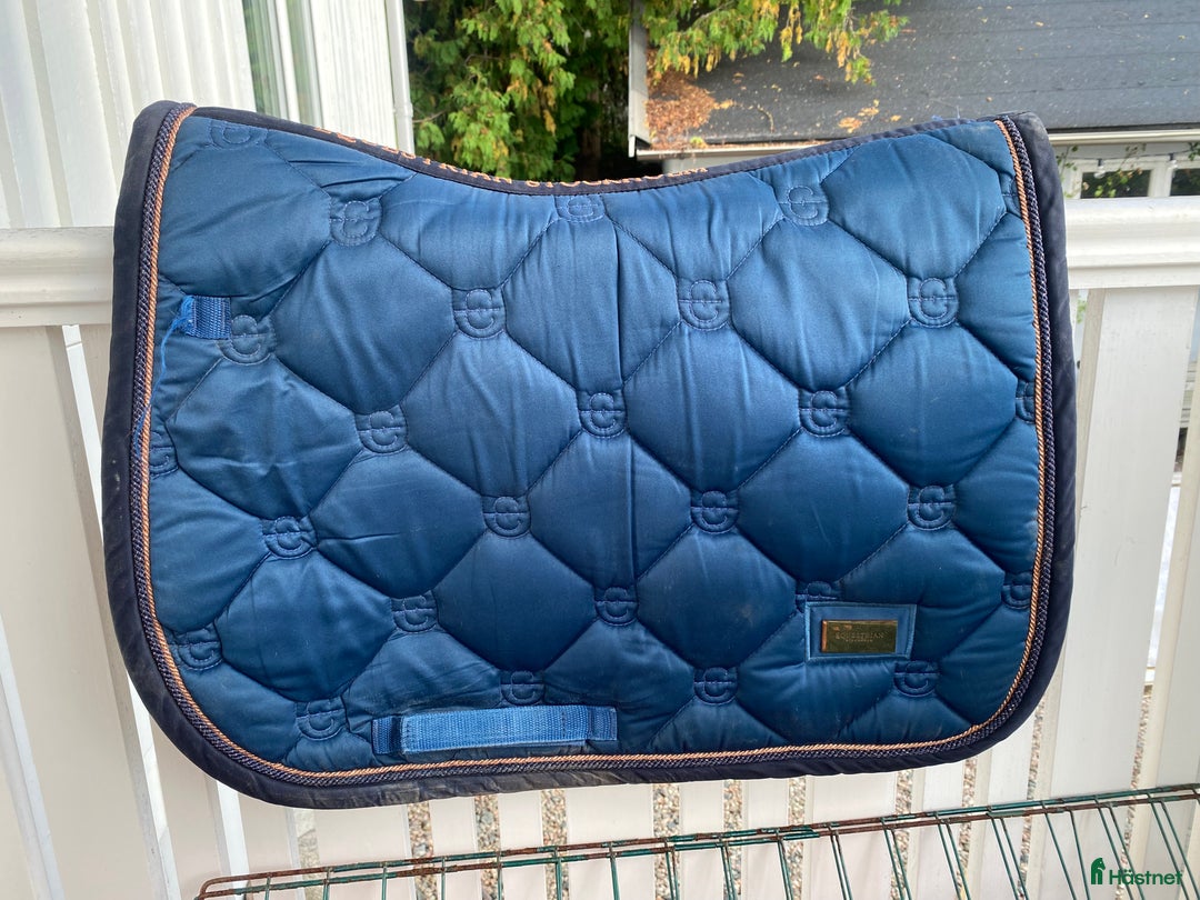 Schabrak & Vojlockar hästutrustning till salu: ES chabrak till salu i Lindome - Annons 3