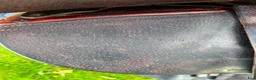 Sadlar hästutrustning till salu: Brun hoppsadel storhäst CWD 2G, 17", normal bom - Annons 7