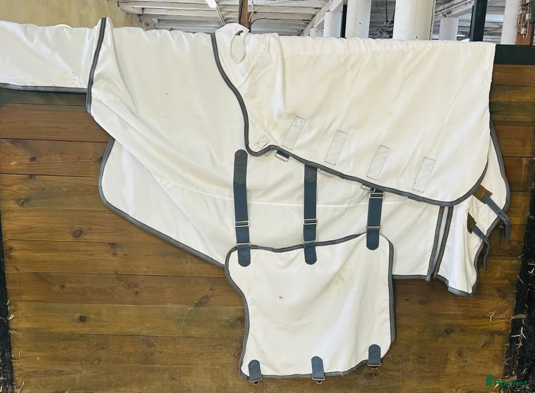 Täcken hästutrustning till salu: SHIRES HIGHLANDER PLUS 145 CM - Annons 2