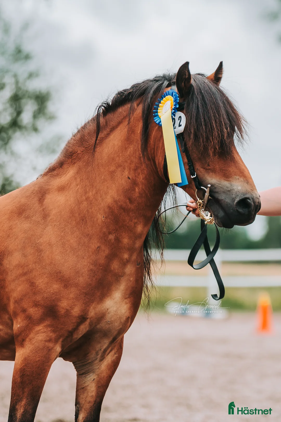 Galleribild {{count}}