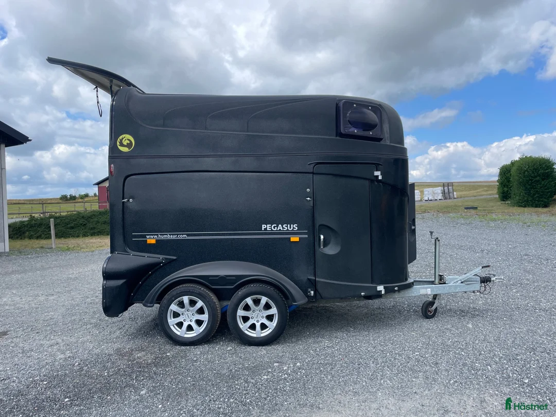 Hästtransporter  fordon & transport till salu: Humbauer Pegasus 2400 - Annons 1