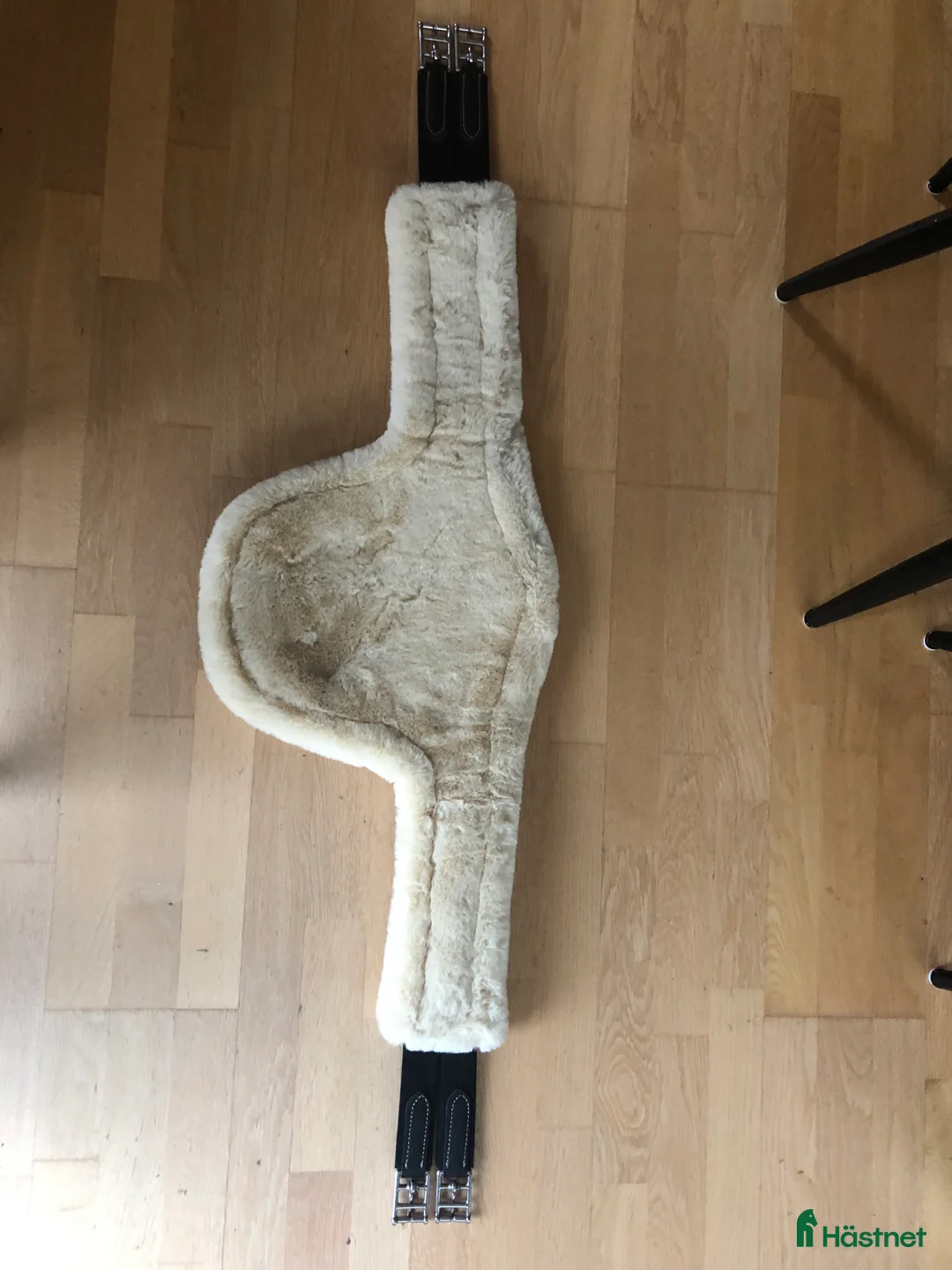 Sadeltillbehör hästutrustning till salu: Lippo hoppgjord magplatta - Annons 4