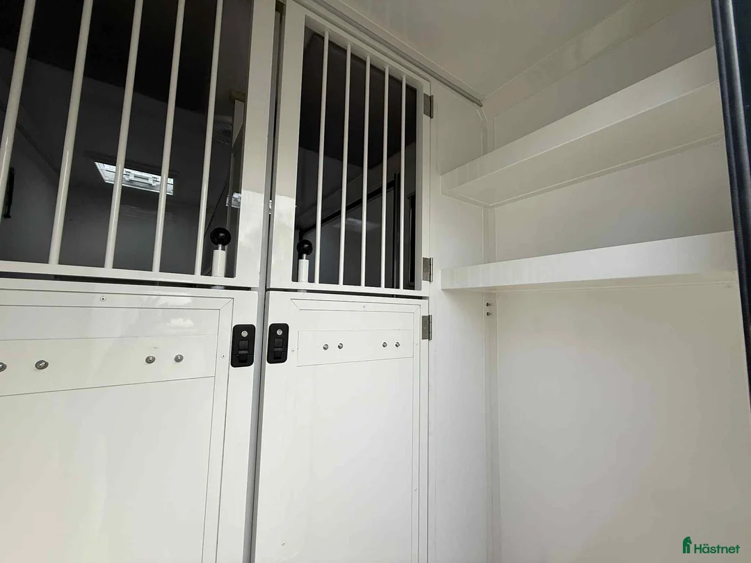 Hästlastbilar  fordon & transport till salu: NORDIC HORSE 5 STUTERI *HÖG LASTVIKT* i Köping - Annons 10