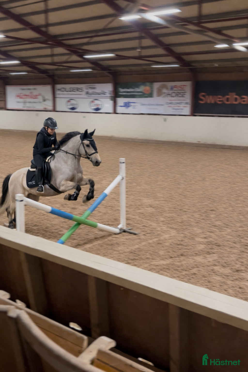  hästar Söker foderhäst - Annons 2