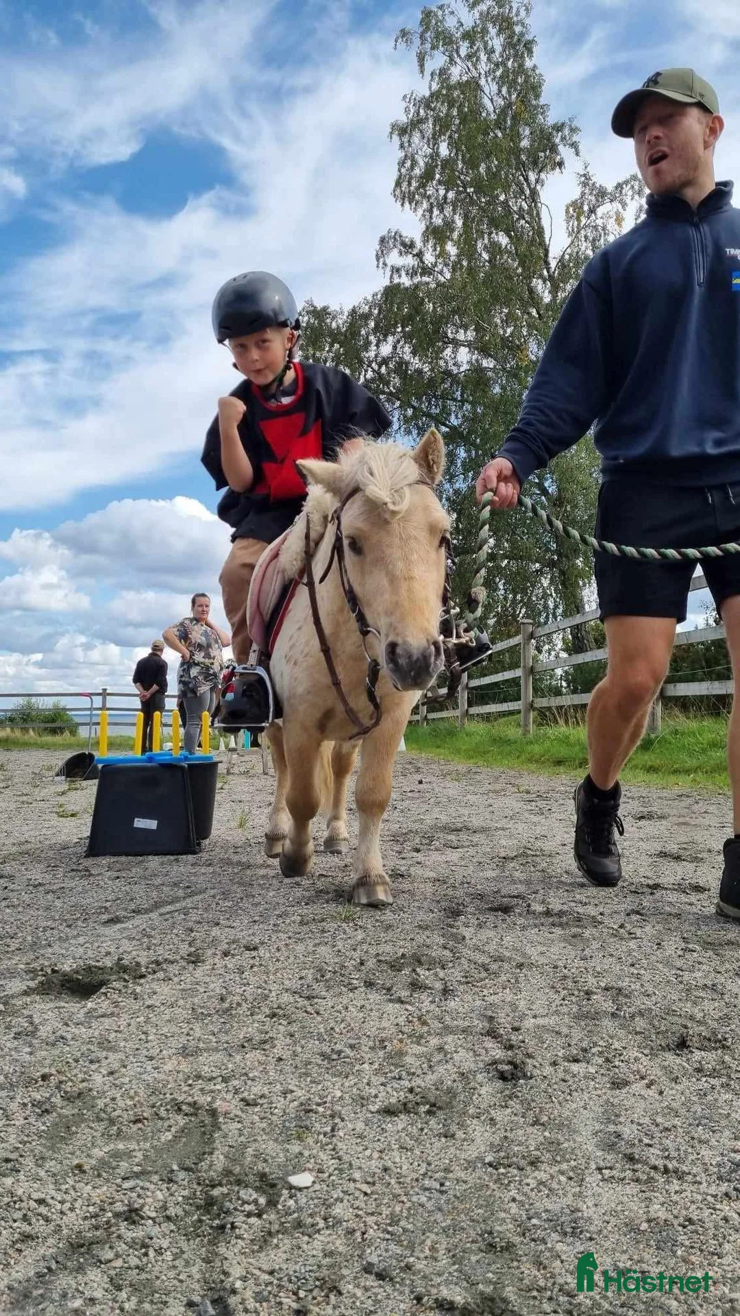 Allround hästar till salu: Ponnyer önskar mer ridning körning pyssel - Annons 6