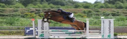  hästservice finnes: 🐴 Utbildning & förmedling på Stall Ljunganäs 🌿 - Annons 5