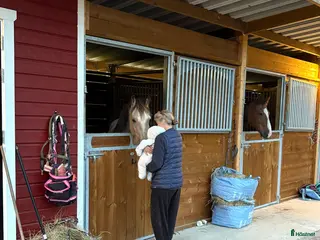 stallplats Boxplats i litet utestall finnes i Väderstad - Annons 6