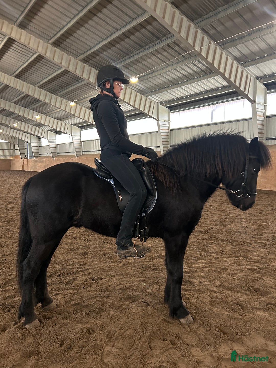 Island hästar till salu: Sportig högrest & vacker i Fjugesta - Annons 1