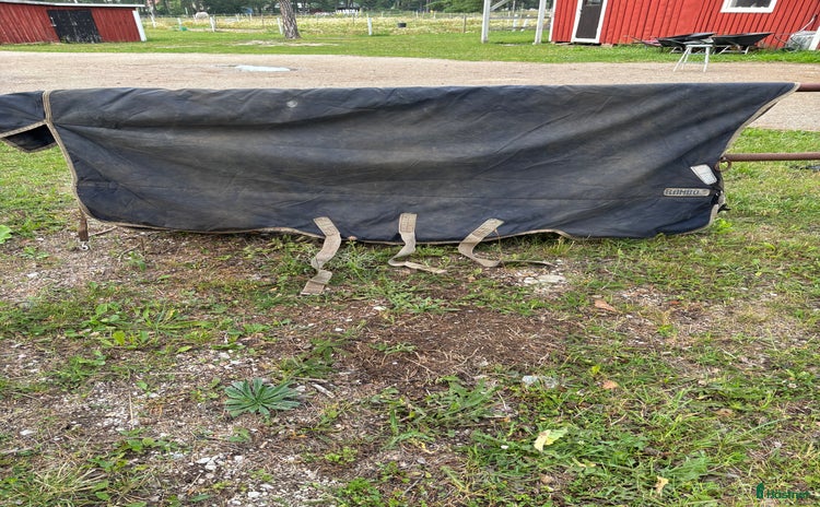 Täcken hästutrustning till salu i Visby - Annons 17