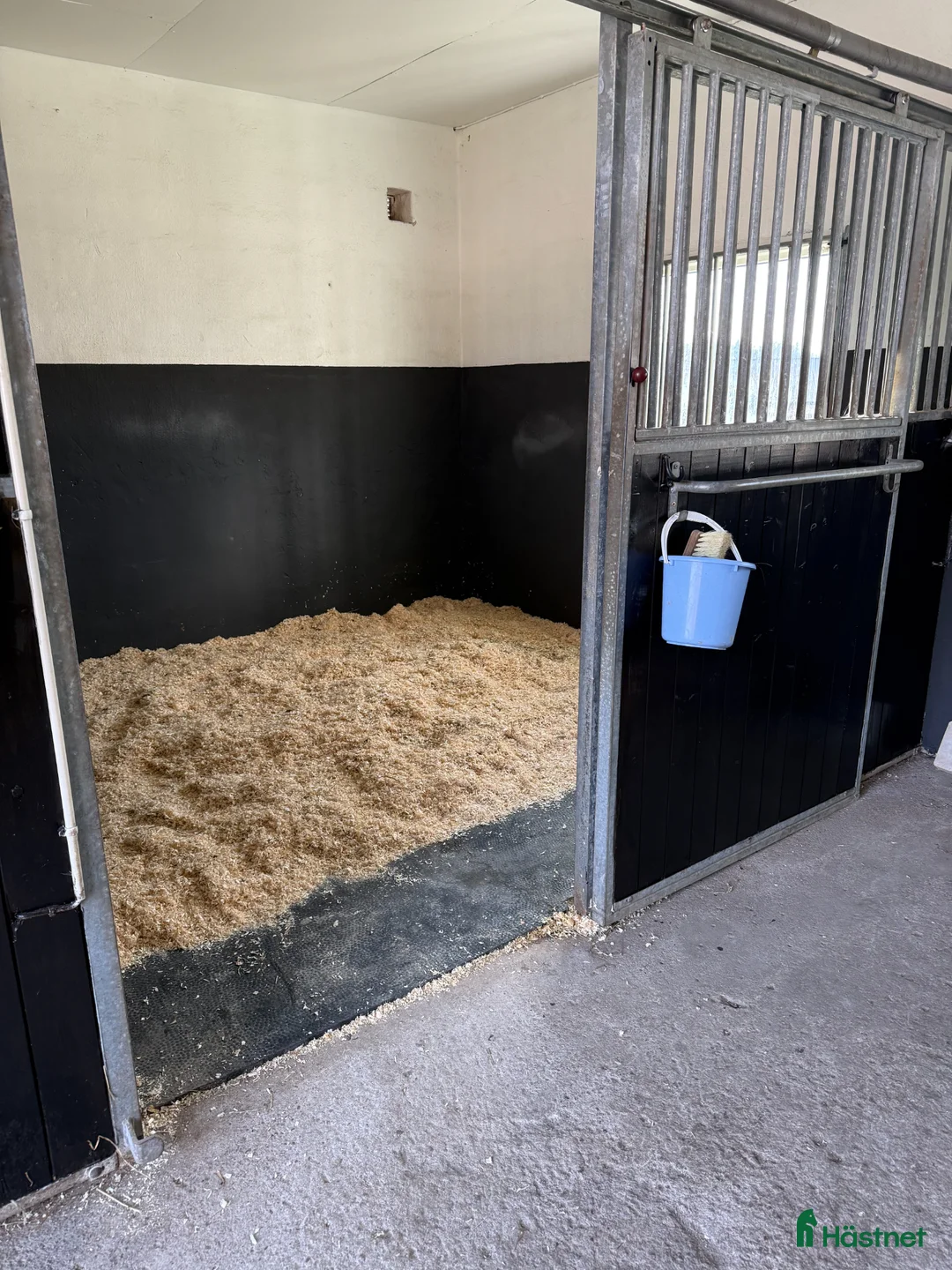  stallplats finnes: Box/lösdrift finns i litet stall 6 km från Knivsta - Annons 2