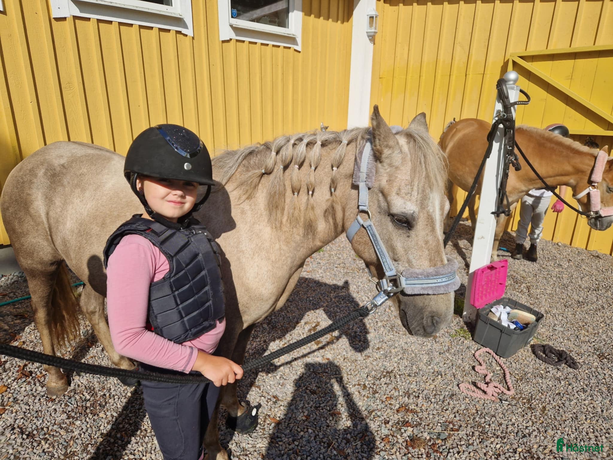  hästar Sällskapsponny samt lättare ridturer! i Växjö - Annons 2