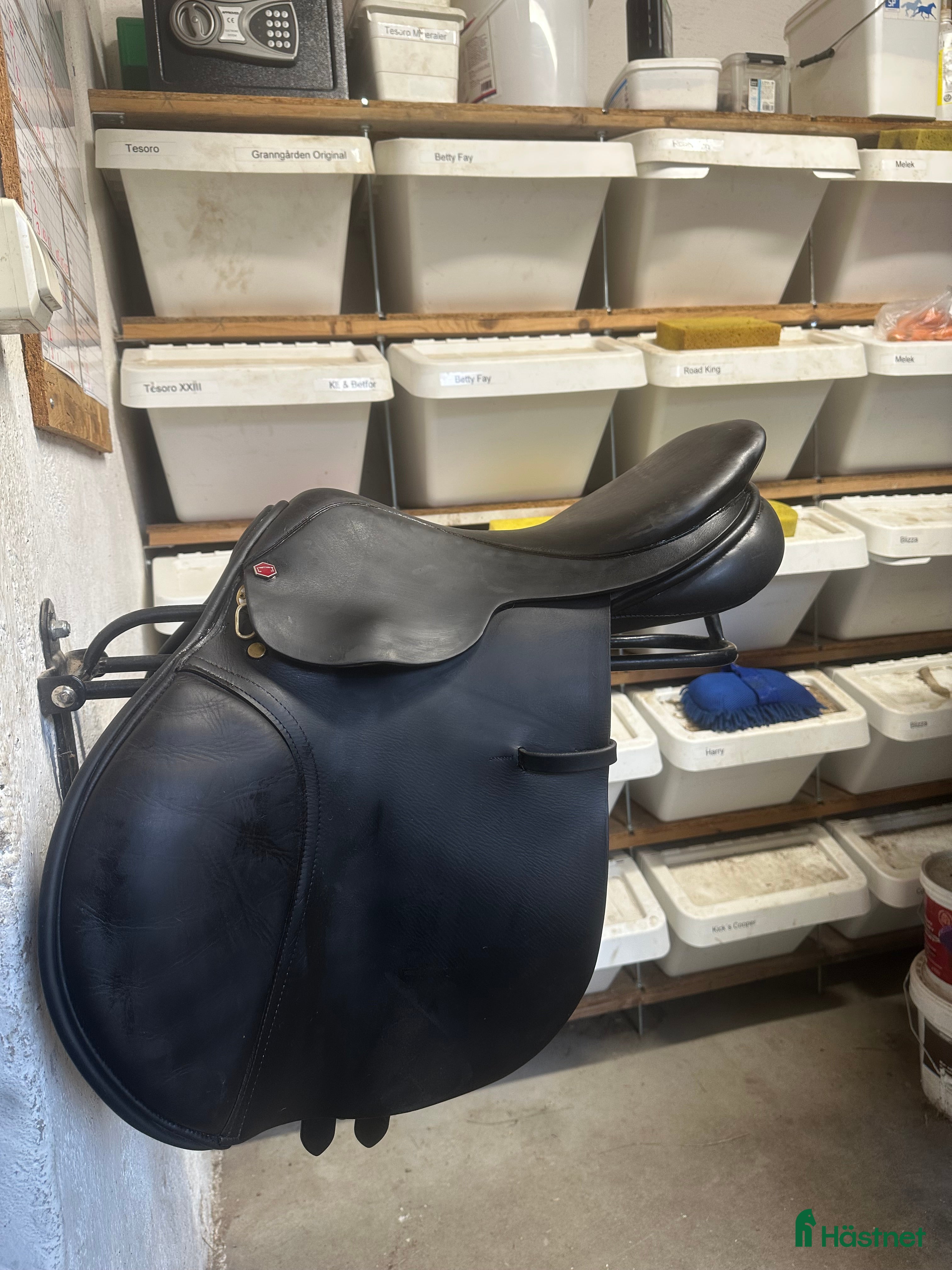 Sadlar hästutrustning till salu:  Albion legend hoppsadel 17tum  i Örebro - Annons 24