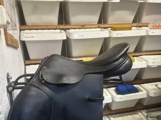 Sadlar hästutrustning Albion legend hoppsadel 17tum i Örebro - Annons 15
