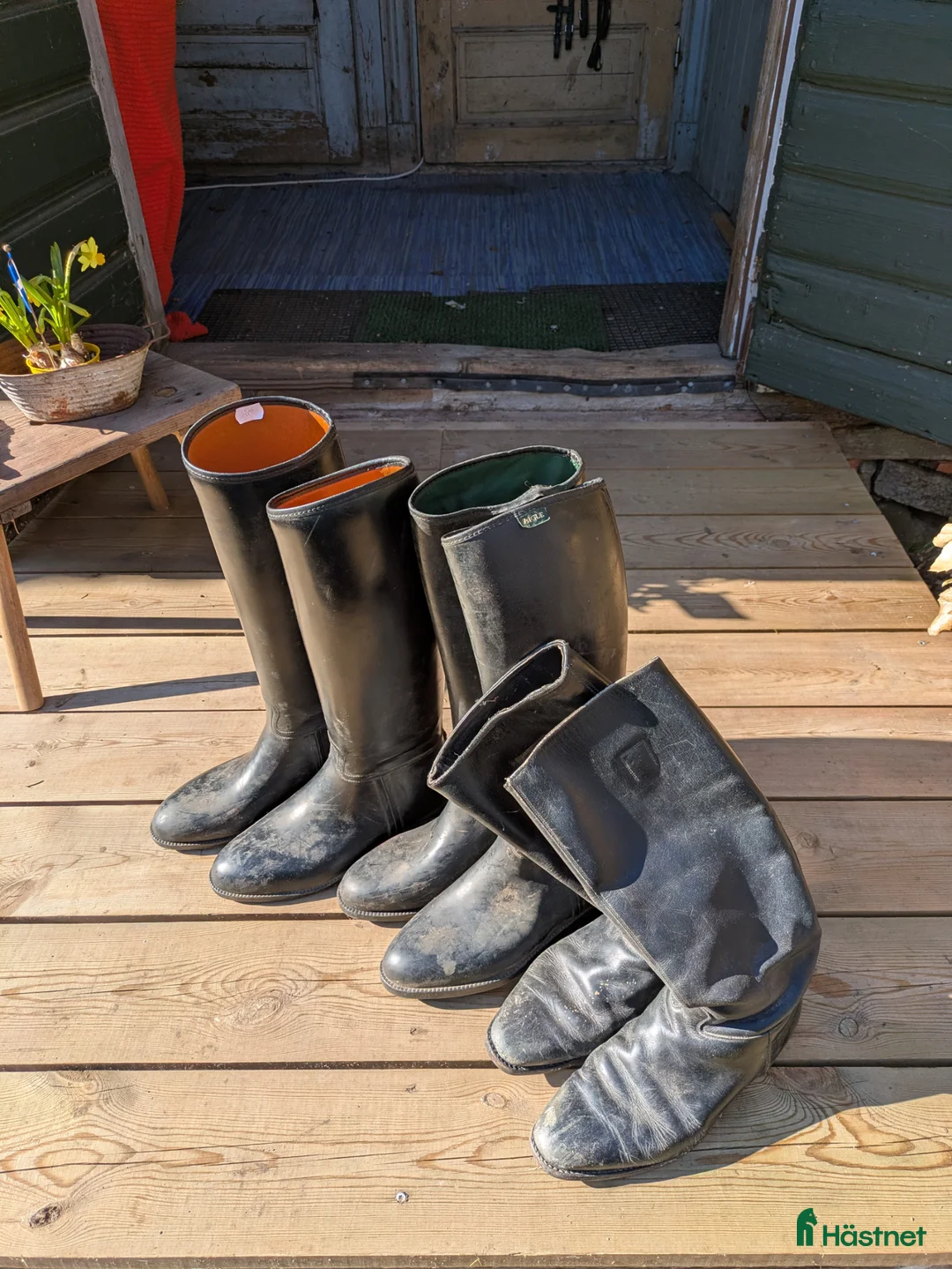 Täcken hästutrustning till salu: Second Häst  - Annons 2