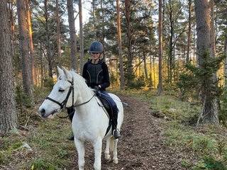 medryttarhäst finnes: Medryttare sökes till snäll c-ponny i Vallentuna - Annons 21