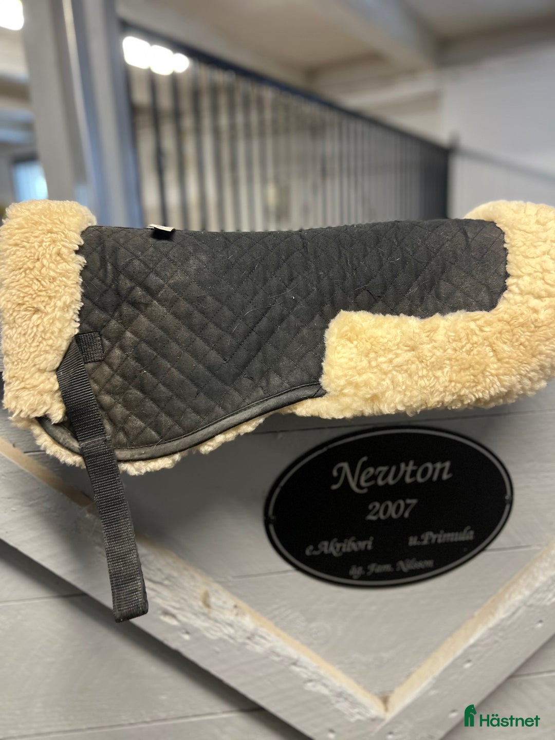 Sadeltillbehör hästutrustning till salu: Schabrak/padd i Växjö - Annons 3