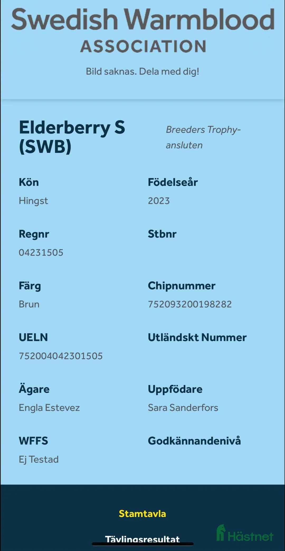 Allround hästar till salu: Snäll 3 åring  i Tungelsta - Annons 2