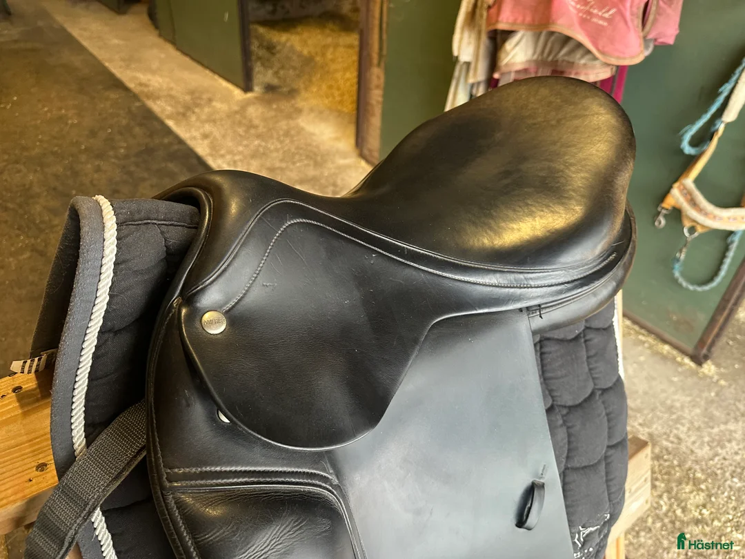 Sadlar hästutrustning till salu: Amerigo Dj dressyrsadel  i Visby - Annons 2