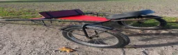 Travsulkys trav till salu: Hudik Speedcart - Storhäst - Annons 2