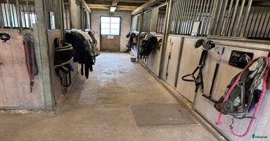  stallplats i Ljungskile - Annons 5