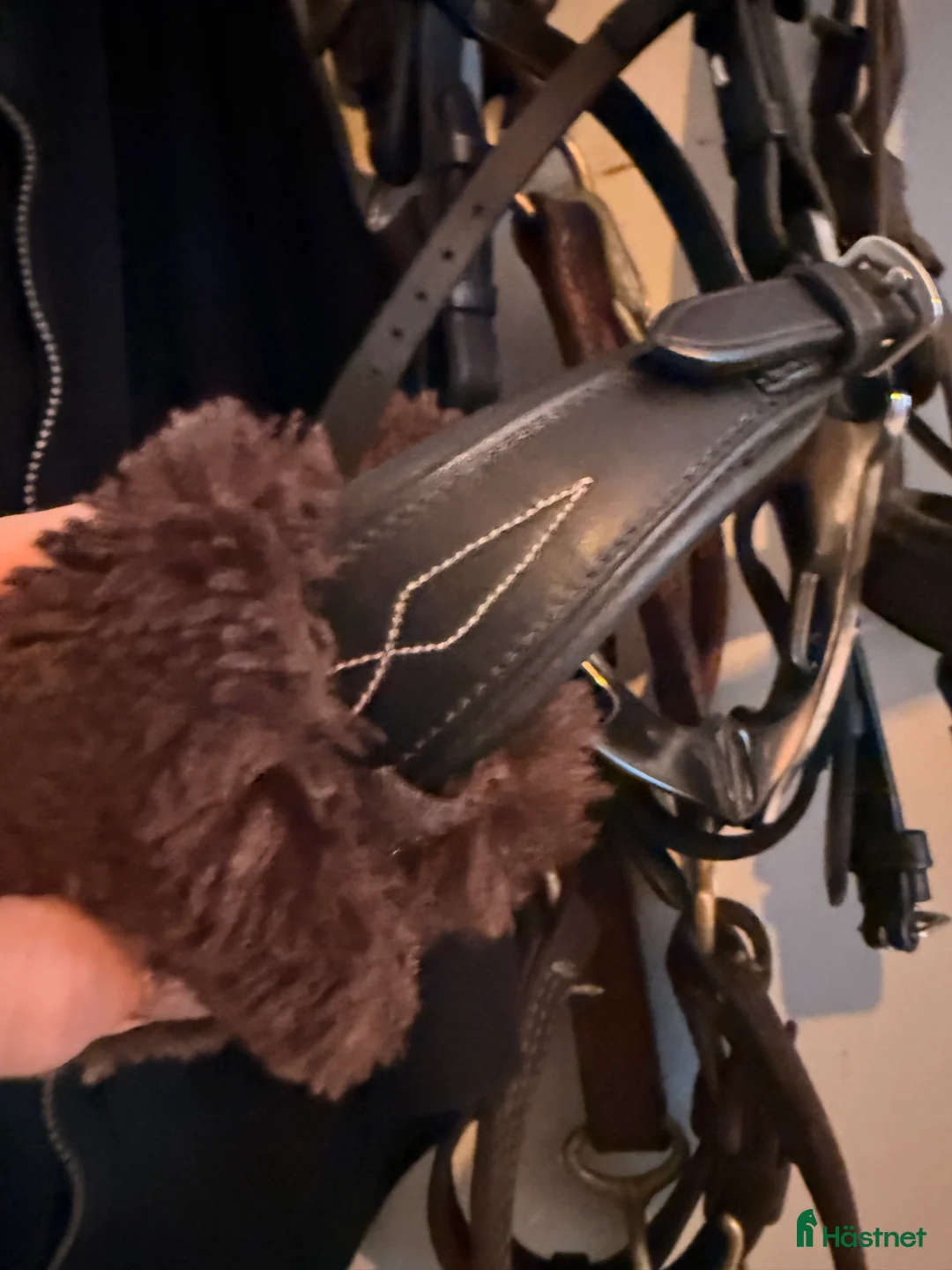 Träns hästutrustning till salu: Psof hackamore  - Annons 7