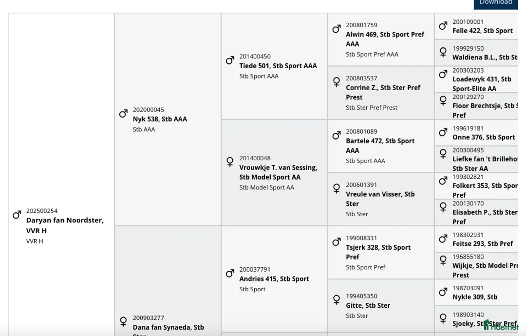 Dressyr hästar till salu: Daryan - lovande framtida sportstjärna - Annons 9