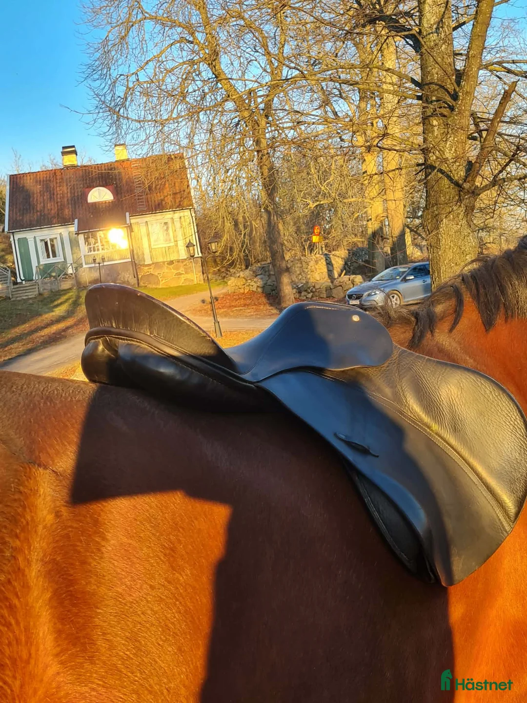 Sadlar hästutrustning till salu: Passier allround sadel - Annons 5