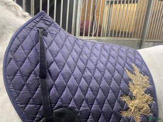 Schabrak & Vojlockar hästutrustning till salu: Divoyh schabrak i Knivsta - Annons 17