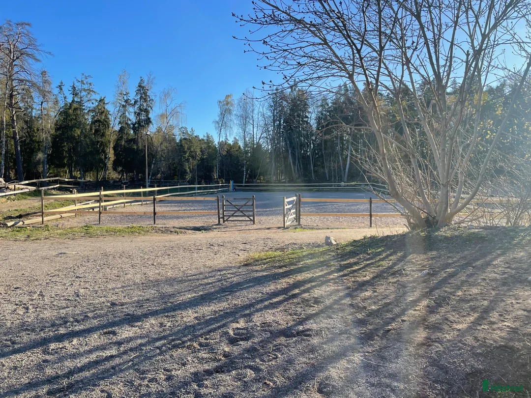  stallplats finnes: Boxplats ledigt - Annons 2