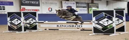 Hoppning hästar till salu: Sagoponny kat B i Rönninge - Annons 1