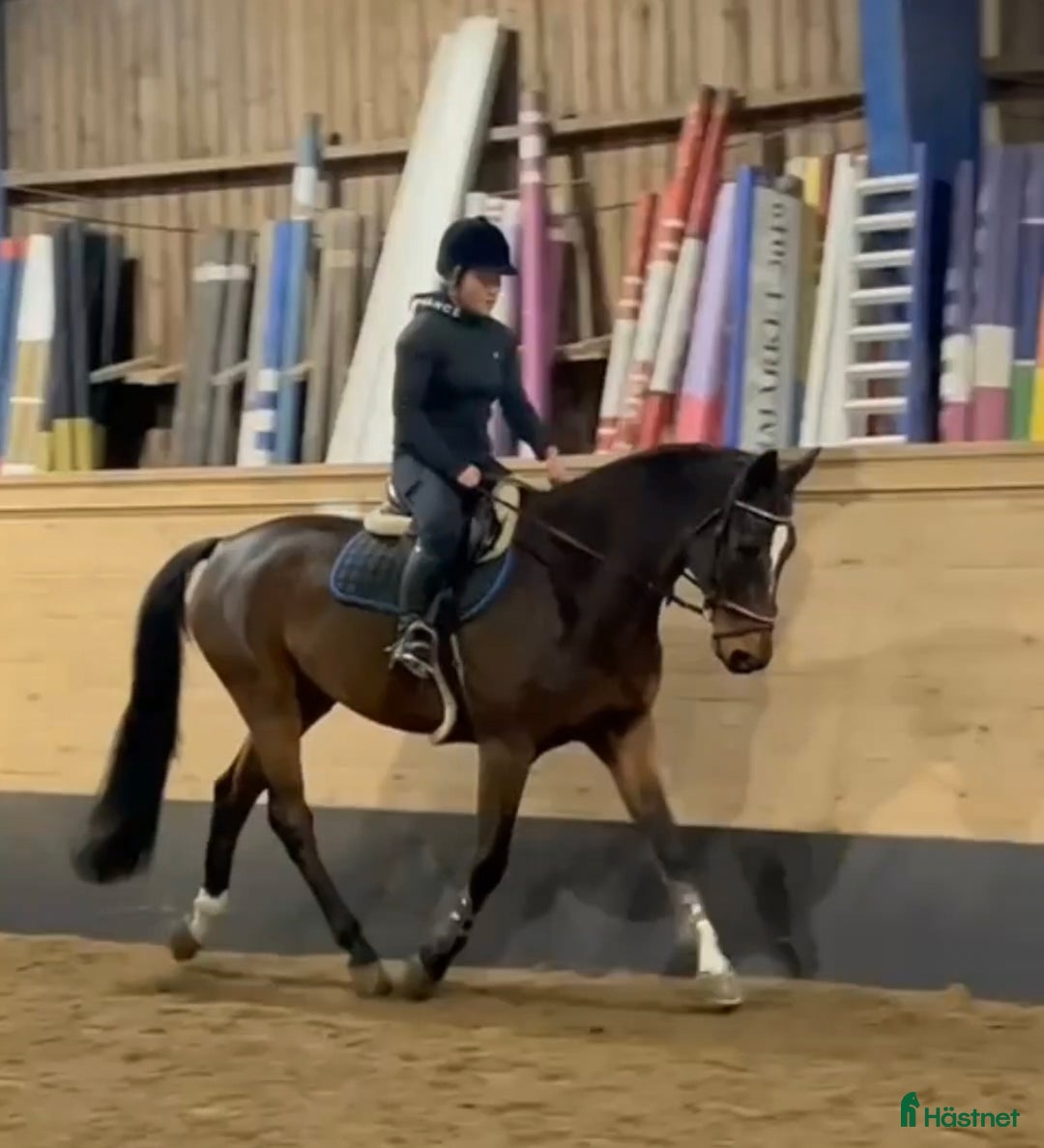 Allround hästar till salu: Perfekt läromästare eller till verksamhet  i Hjärtum - Annons 2