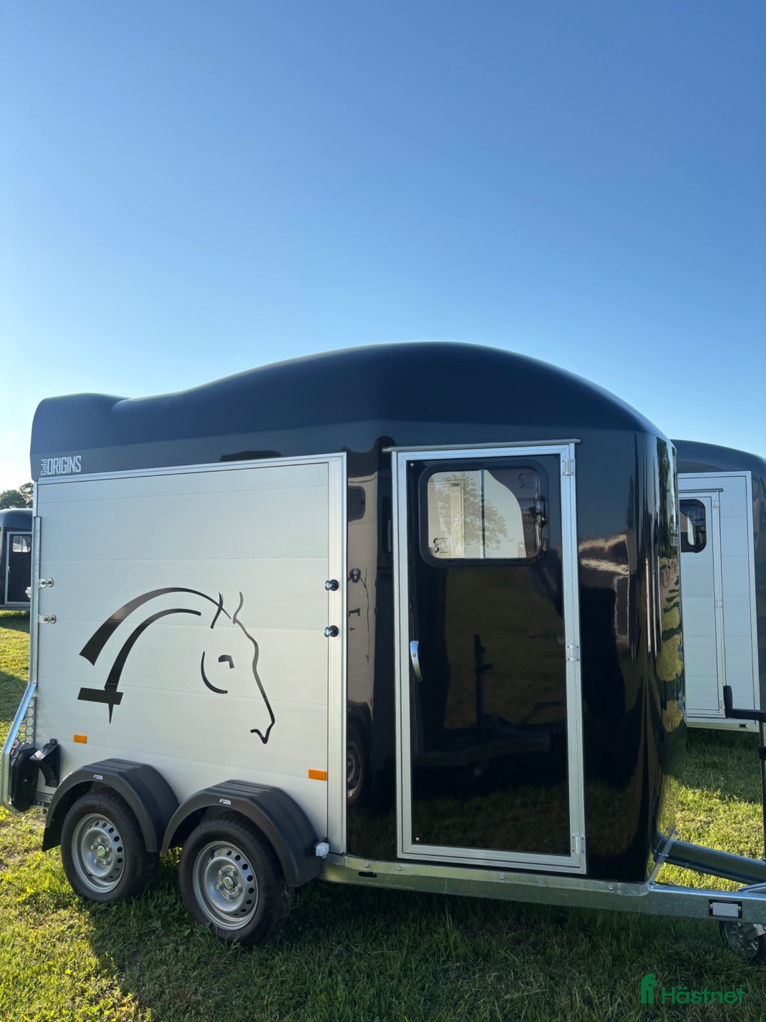 Hästtransporter  fordon & transport till salu: Cheval Orginis  - Annons 5