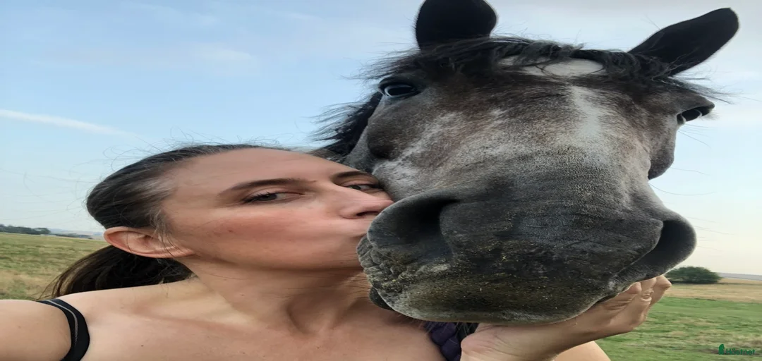 Galleribild {{count}}