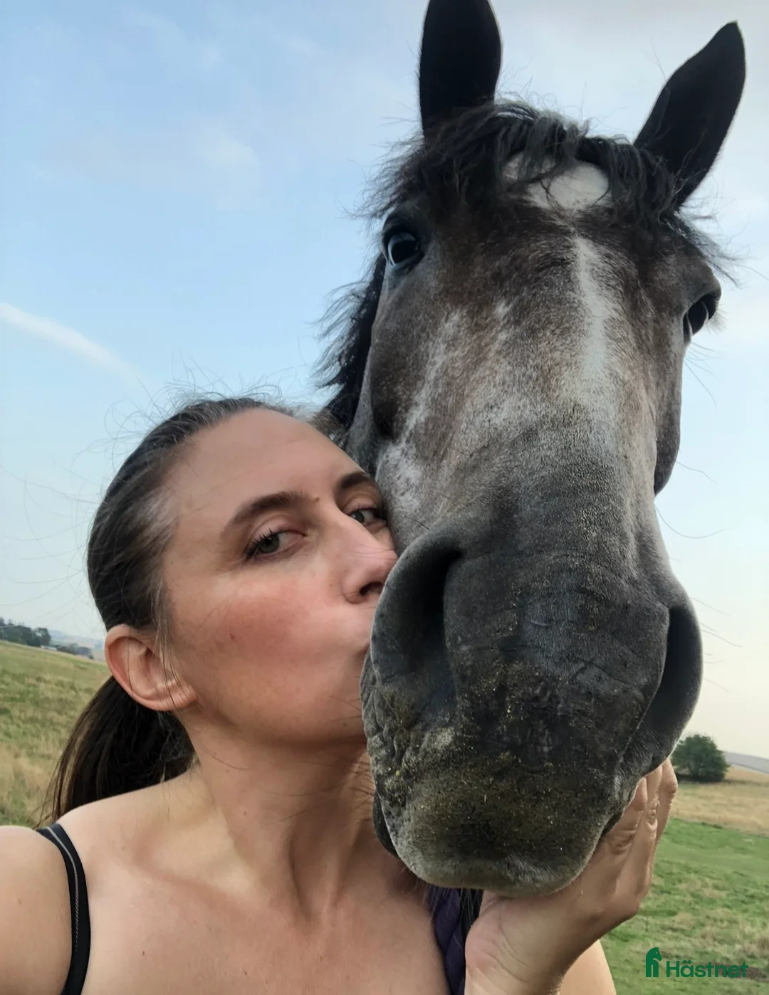 Galleribild {{count}}