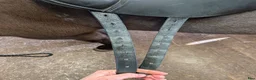Sadlar hästutrustning till salu: Prestige Lucky Dressage  - Annons 3